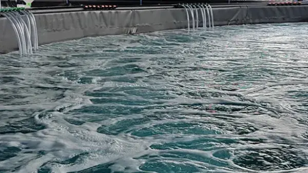 hatchery